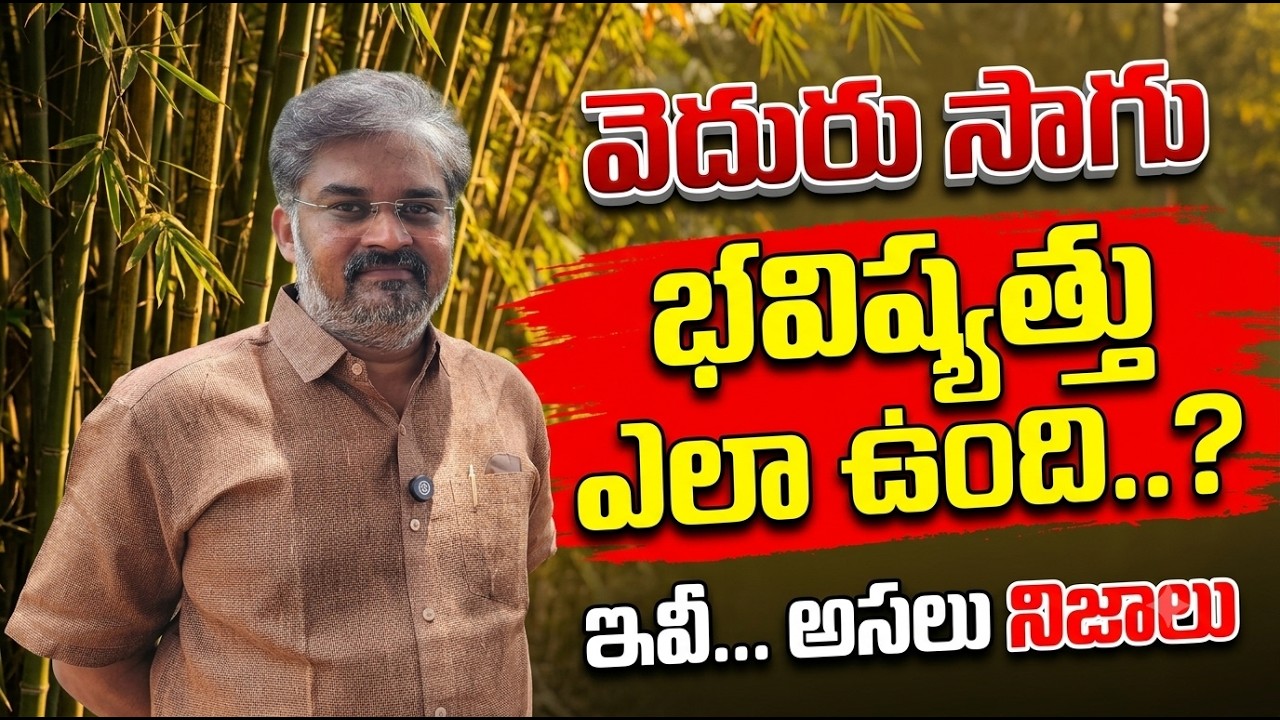 Bamboo Farming: వెదురు సాగు భవిష్యత్ ఇదేనా? రైతులకు నిపుణుడి సూచనలు| bhumiputhra telugu