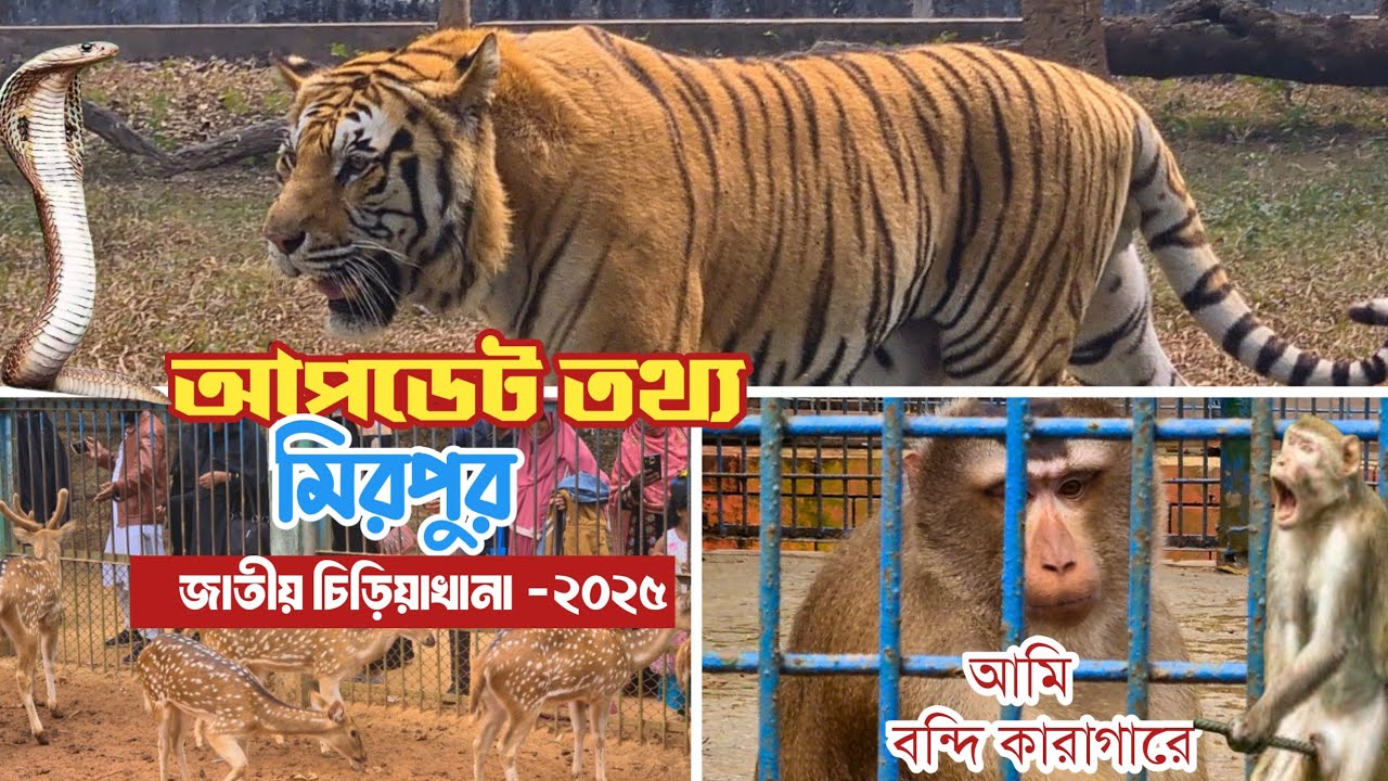বাংলাদেশ জাতীয় চিড়িয়াখানা মিরপুর -২০২৫ | ভ্রমণ গাইড | Beauties of bangladesh national zoo