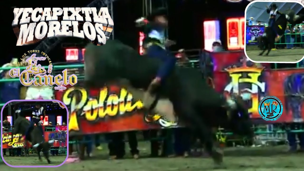 LOS INTOCABLES DE RANCHO EL CANELO EN YECAPIXTLA MORELOS 23 OCTUBRE 2025