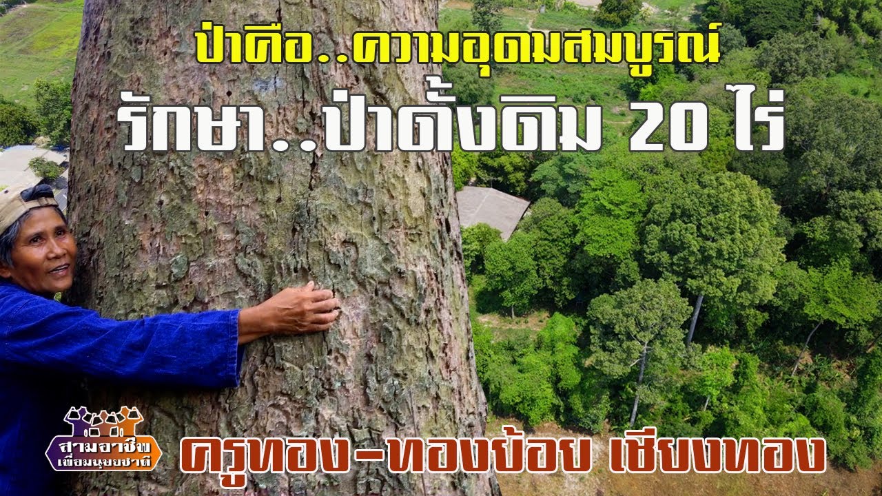 ป่าคือ..ความอุดมสมบูรณ์