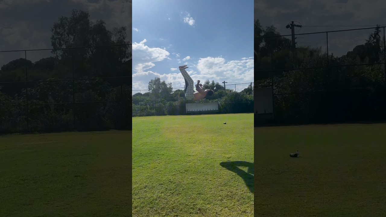 Dleg in full #trick #tricking #dubcork #doublefull #tricks #dubdub #flip #backflip