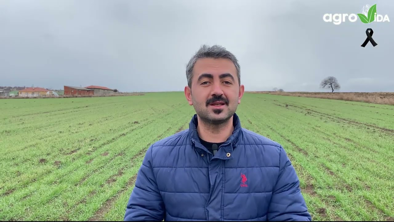Hububat yetiştiriciliğinde, kardeşlenme d&ouml;nemi başlangıcı 1. uygulama başlamıştır! 🌾