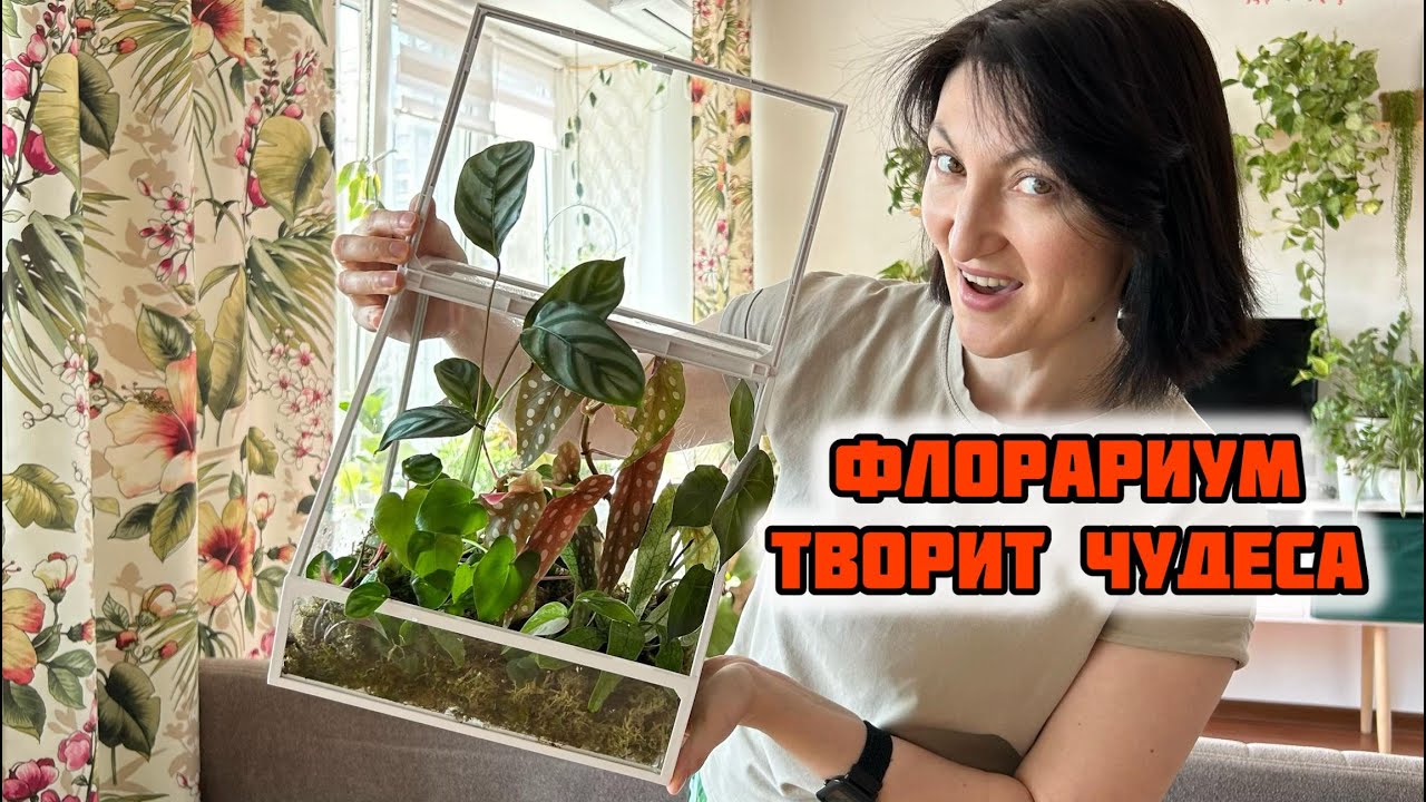 ЧУДО ФЛОРАРИУМ!!! Поле Цветов без Особого ТРУДА!