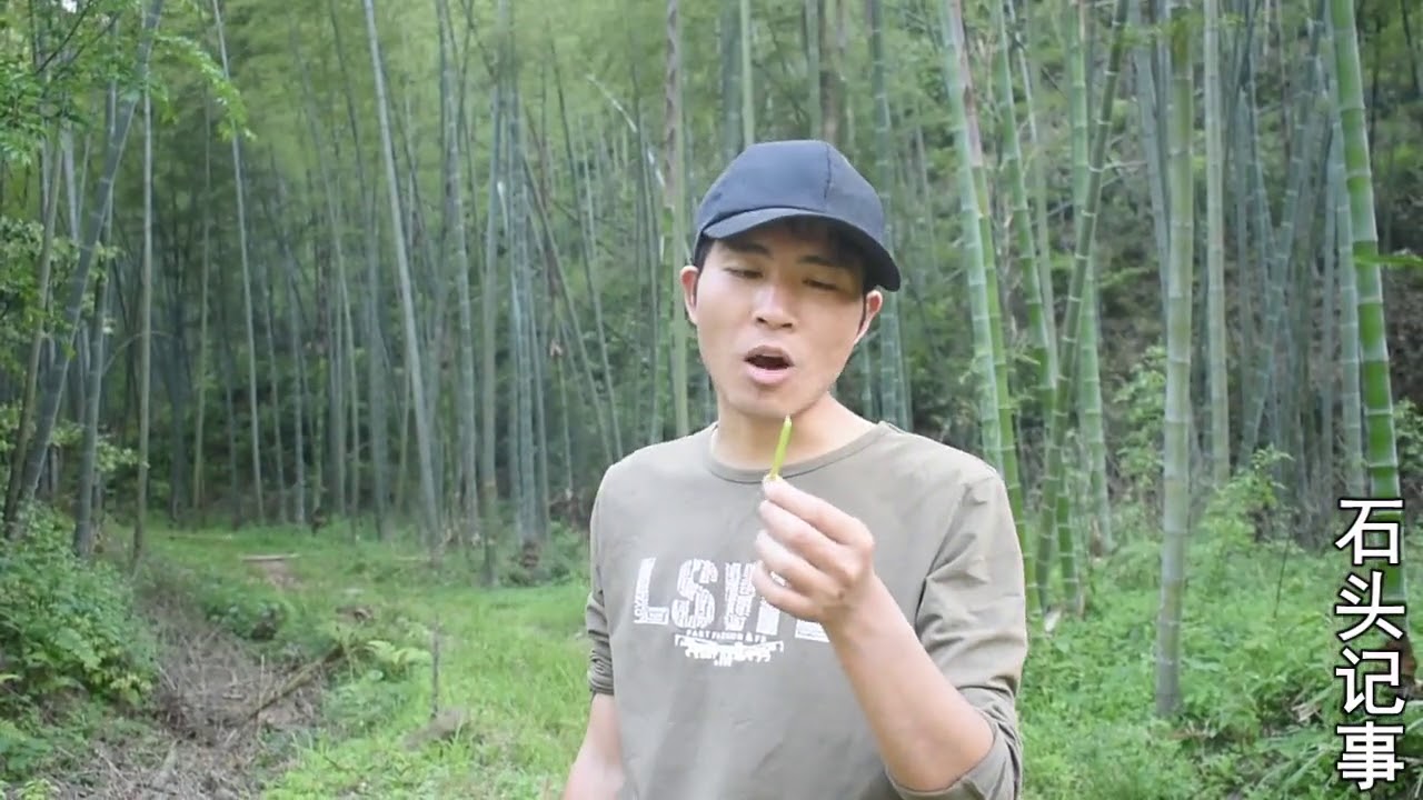 【石頭記事】農村小伙進山搞野，袖子一擼，必出靚貨