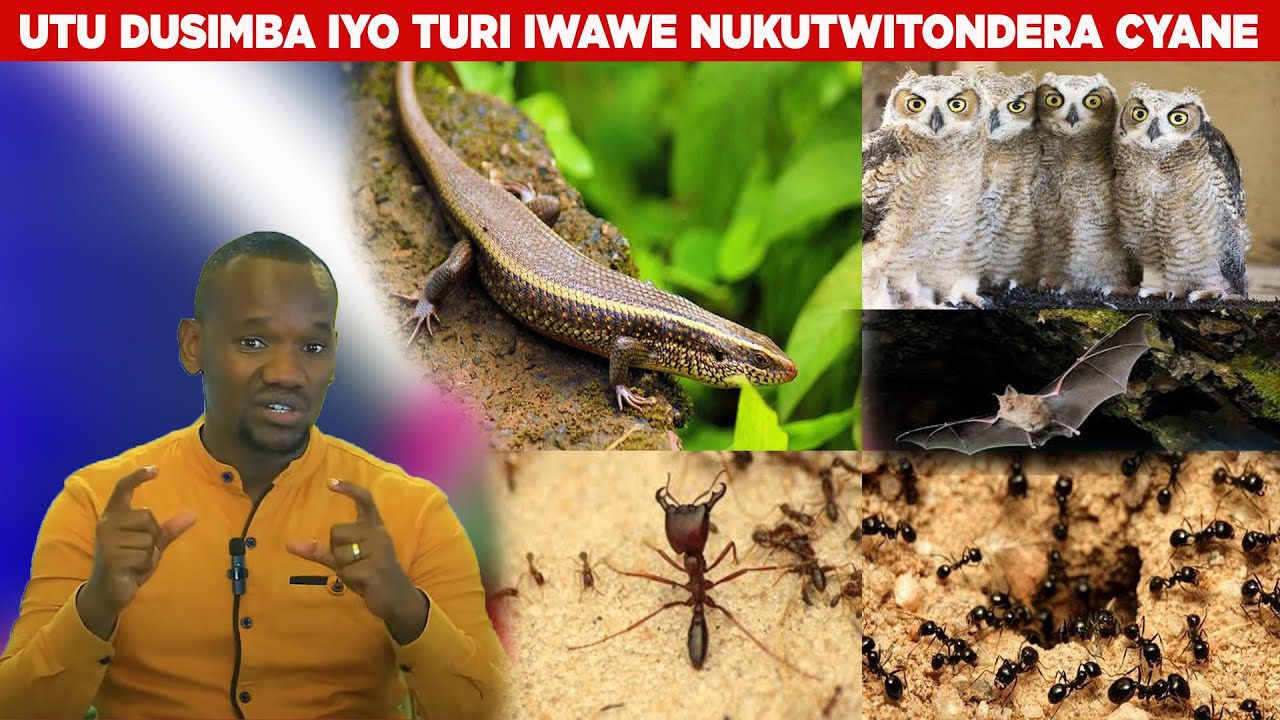 UTU DUSIMBA MWITONDE CYANE TWEREKANA KO ABAROZI BAKUMEREYE NABI BAKUROGA/ HITA UKORA IBI UKIBYUMVA