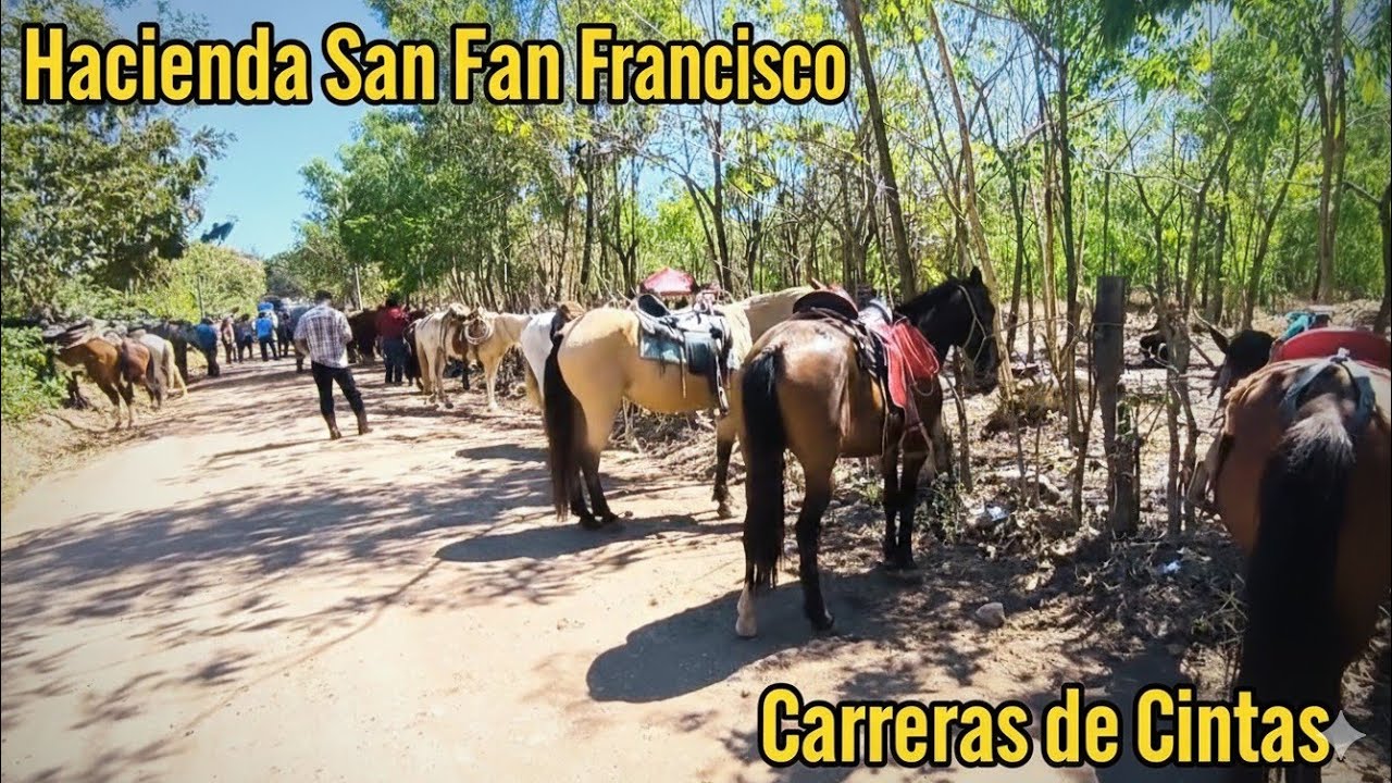 Hacienda San Francisco🇸🇻Carreras de Cintas🇸🇻