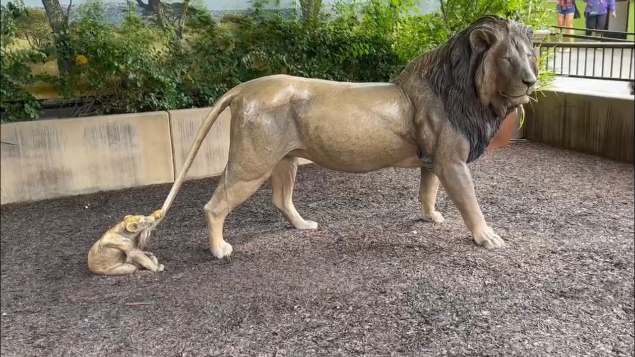 San Diego Zoo | October 2021