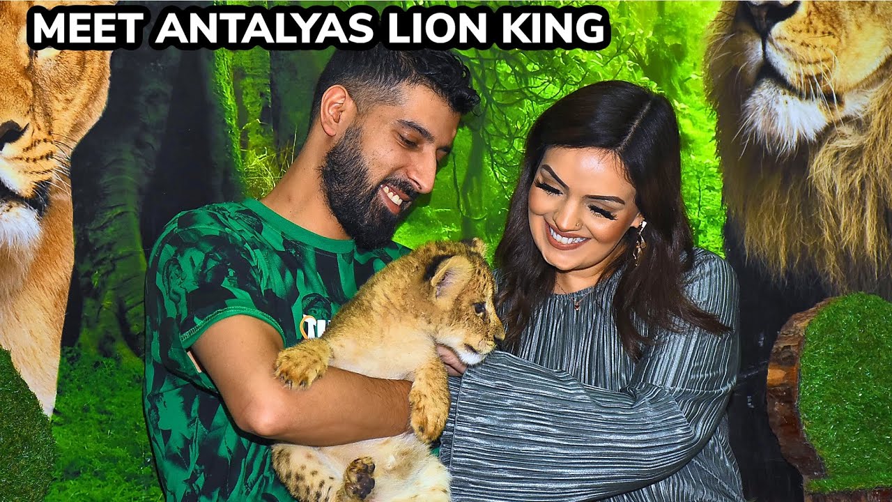 MEET SIMBA | ANTALYAS LITTLE LION KING 🦁