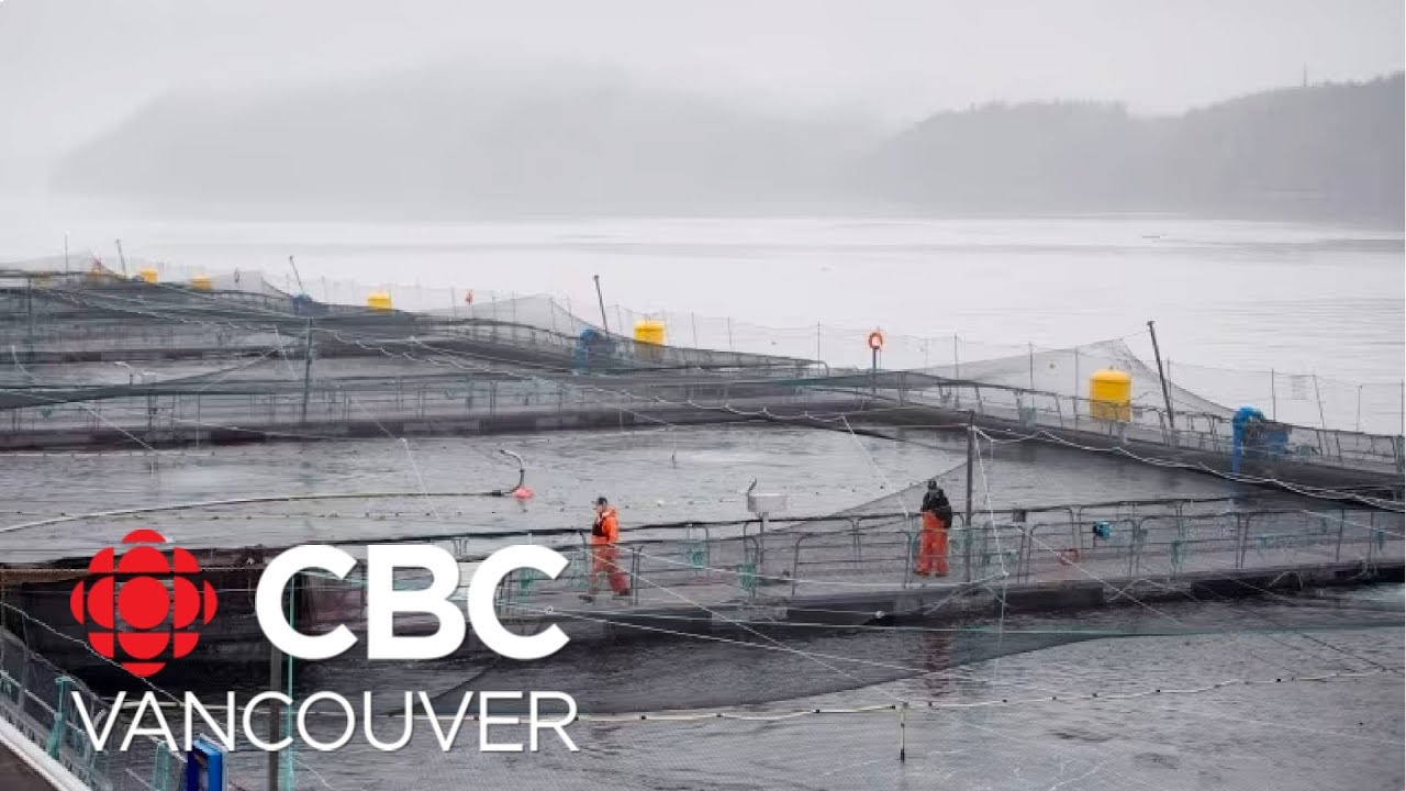 Feds delay closure of B.C.&rsquo;s open-net salmon farms until 2029