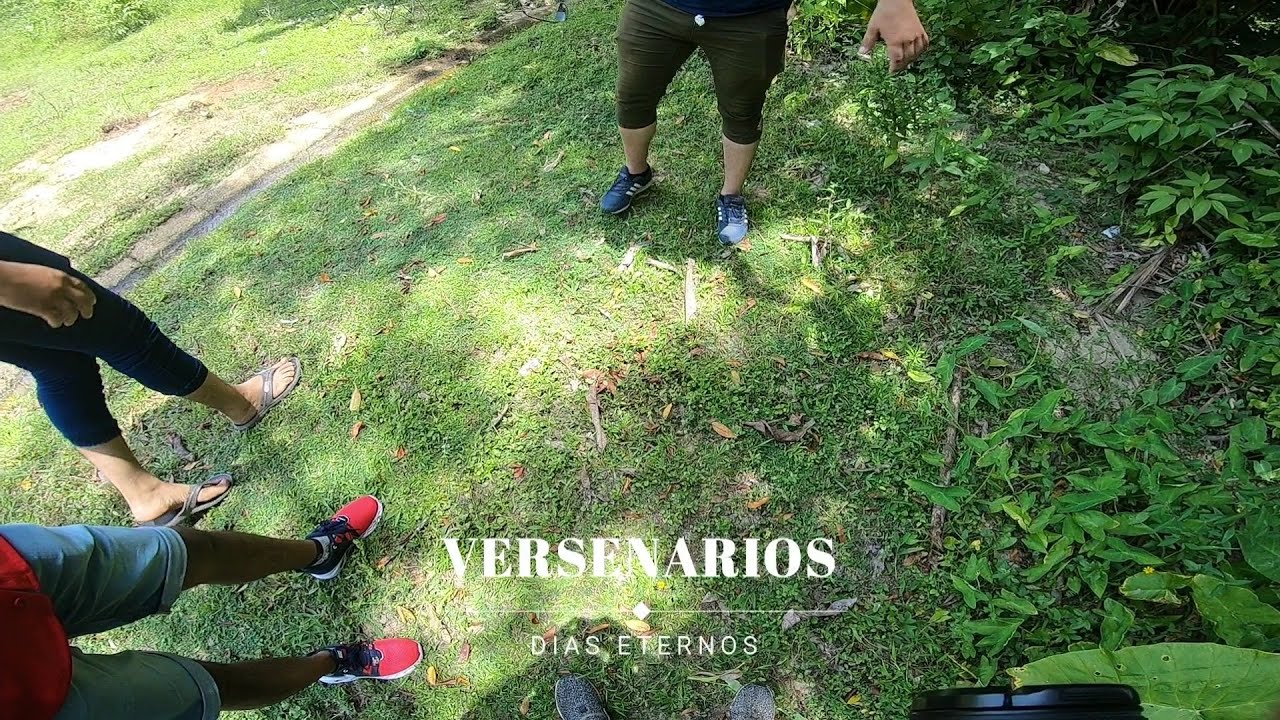 DIAS ETERNOS -  VERSENARIOS
