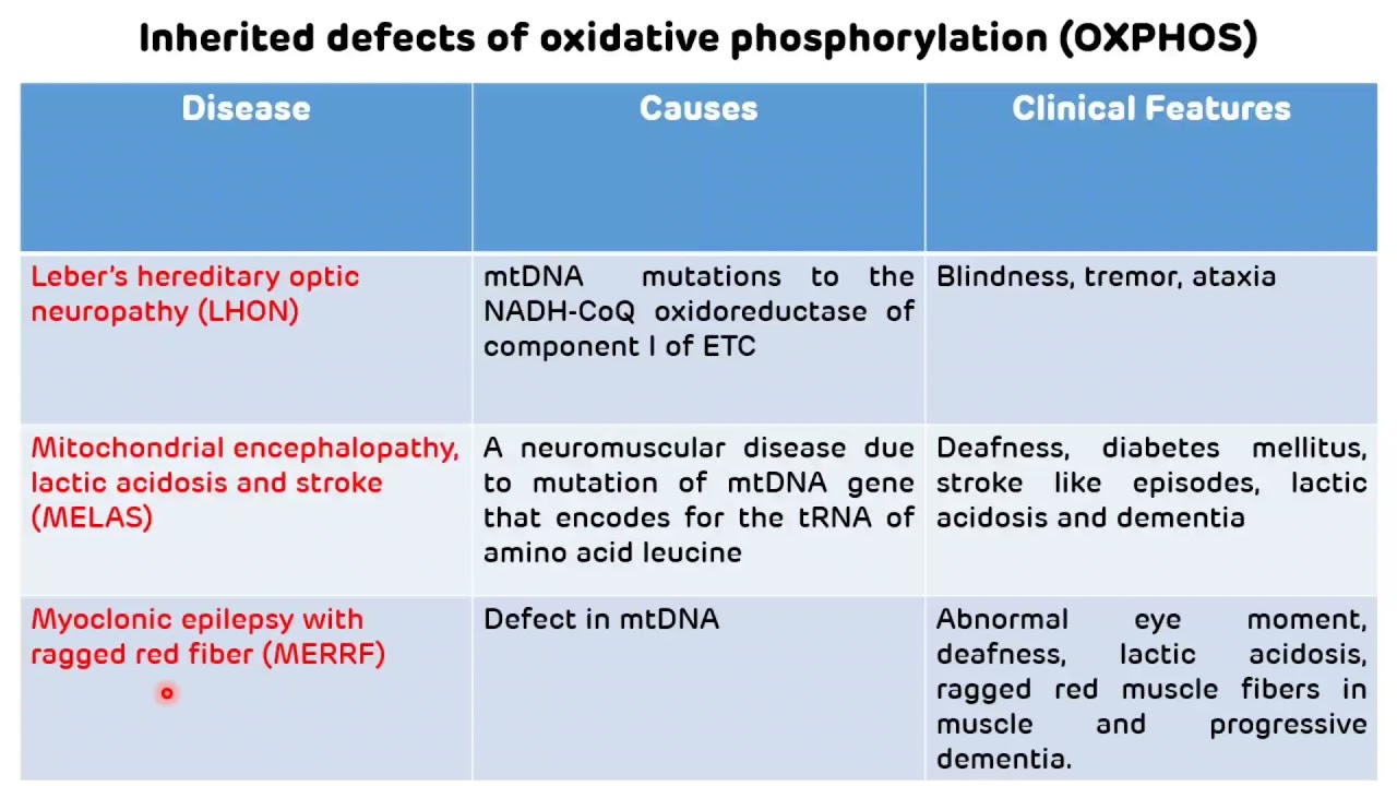 Disorders of Electron Transport Chain And Oxidative Phosphorylation || Mitochondrial Diseases