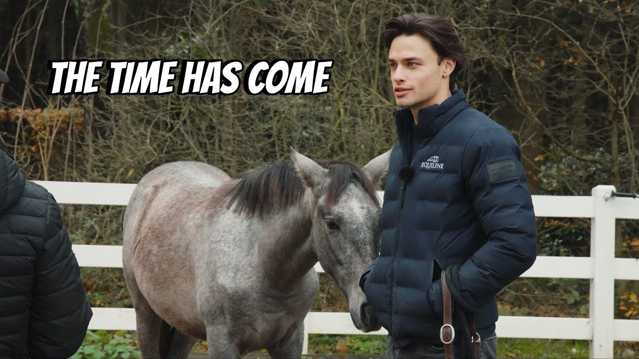 UPDATE ON MY FIRST FOAL + SEPARATING HIM FROM HIS MUM!