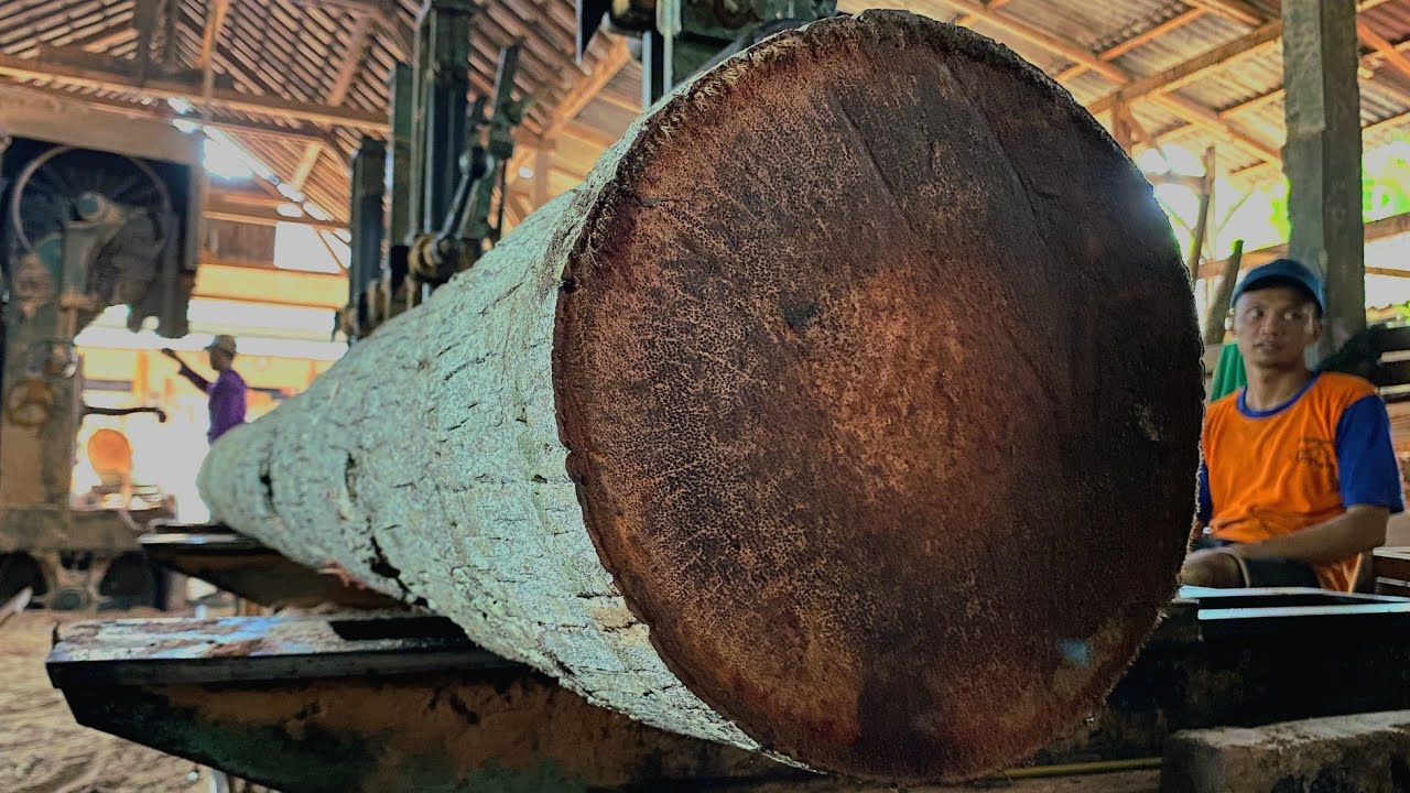 How to Use Coconut Lumber for Your DIY Projects- Turning Glugu Logs into Blocks