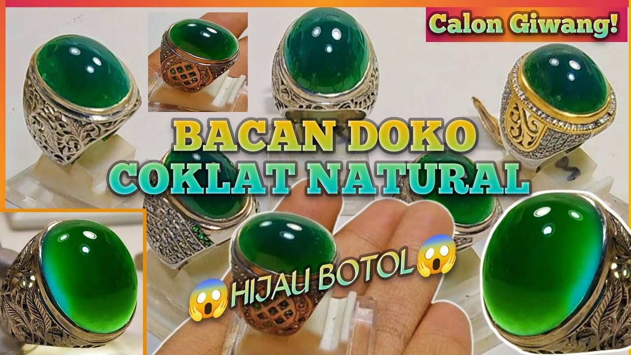 UPDATE BACAN DOKO COKLAT NATURAL | BACAN COKMER | BACAN COKLAT MERAH | BACAN TERBARU!!!