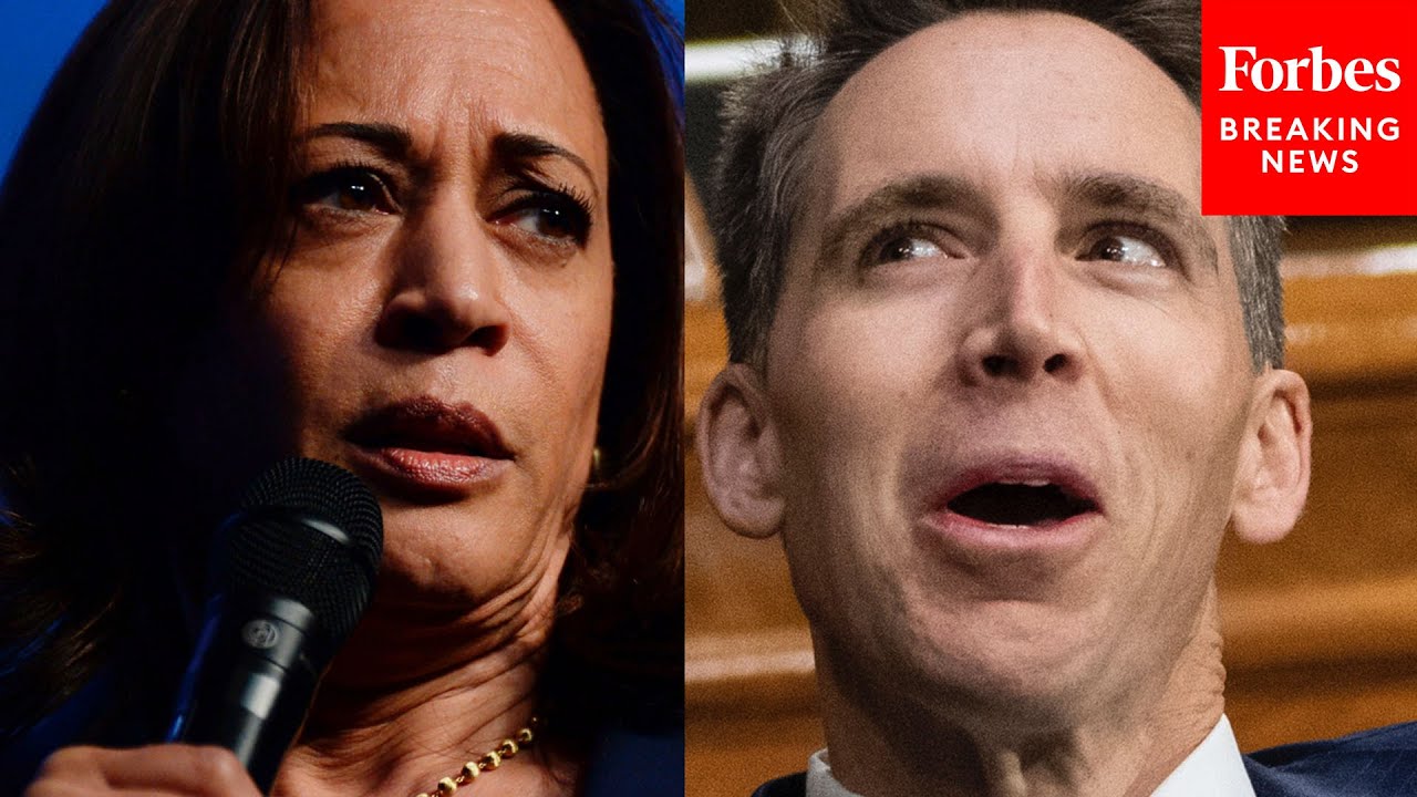 'So What Is She Doing Exactly?': Hawley Presses Mayorkas Over VP Kamala Harris's Work On Border