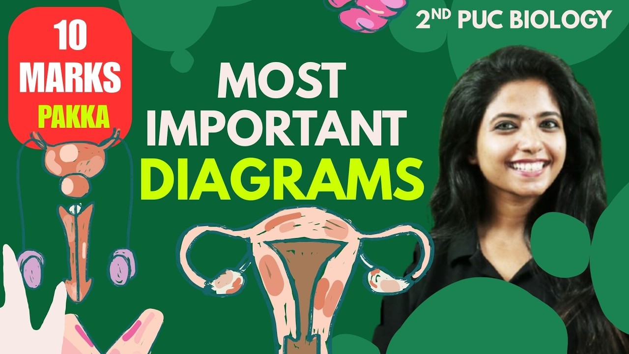 🔥 ALL DIAGRAMS IN ONE VIDEO! 2nd PUC Biology Boards 2026 | Jasmine Mam 💯🧬