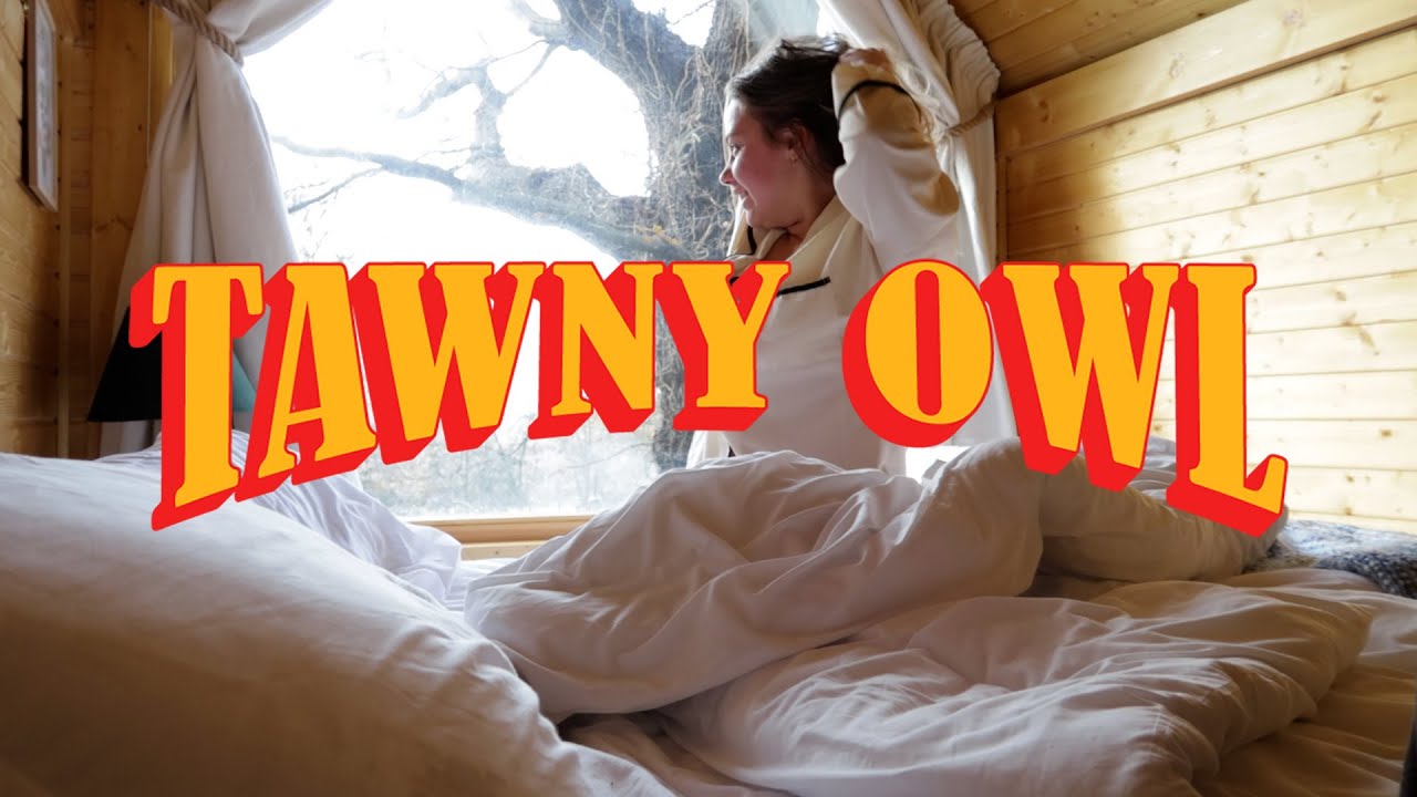 The Tawny Owl - A Short Film