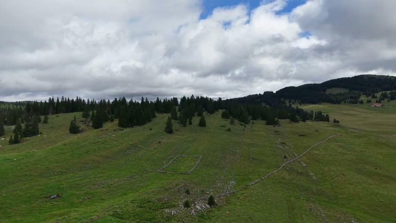 L' Alpage du Pré de Bière