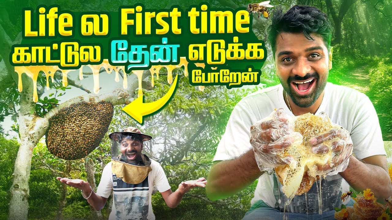 Life ல First time காட்டுல தேன் எடுக்க போறேன் | very Risky Task 