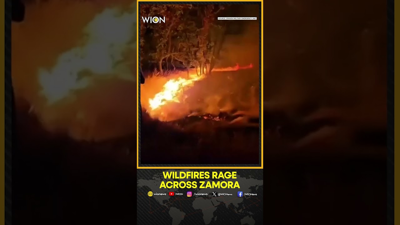 Spain Wildfires Rage as Firefighters Battle Massive Blaze in Zamora
