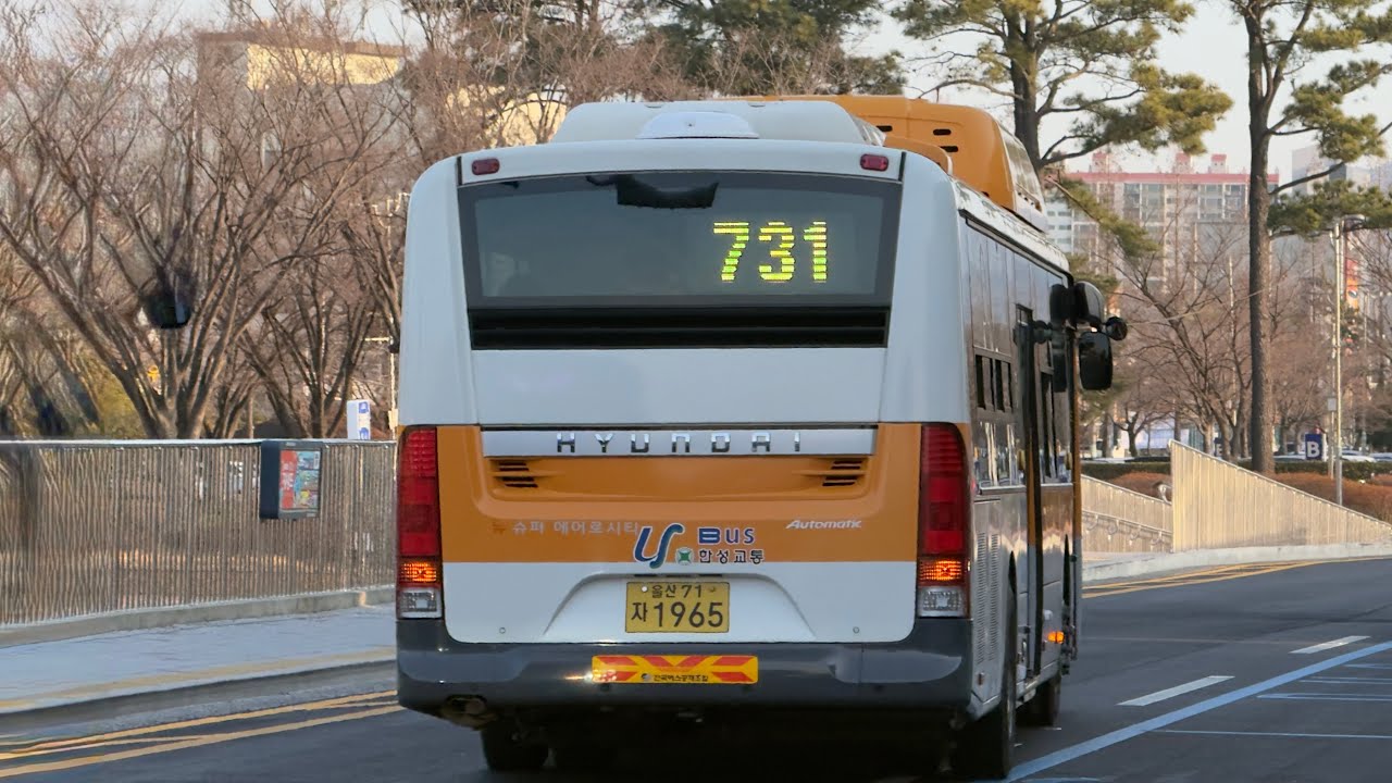 울산 731번 주행영상 