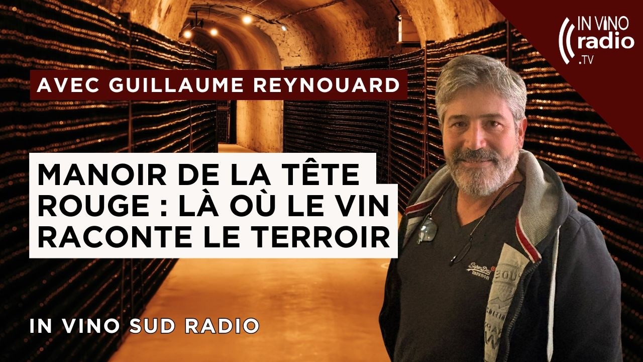 Manoir de la Tête Rouge : Là où le vin raconte le terroir
