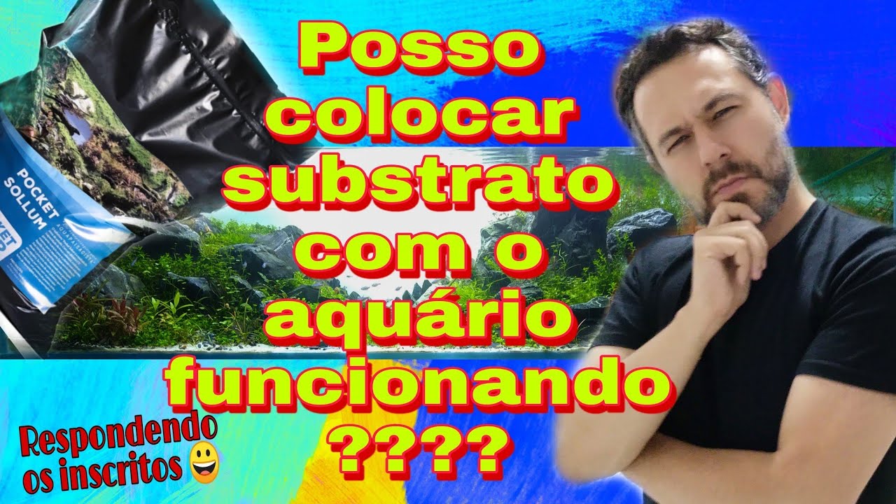 Posso colocar substrato no aquário em funcionamento? Substrato para aquário plantado