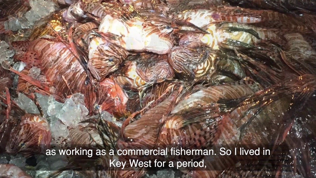 Why Science? Marine Biology