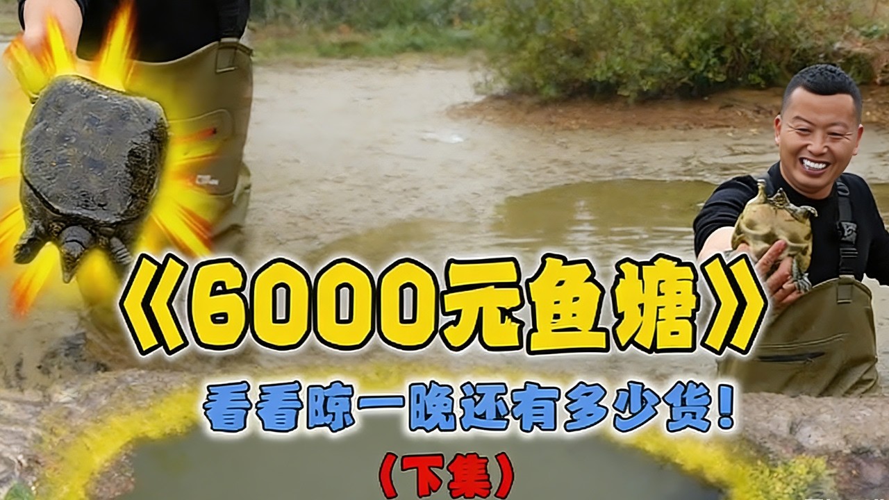 花6000包下十幾年沒乾的魚塘，補880元看看裡面還有多少貨...#戶外 #魚塘 #抓魚 #甲魚 #fishing