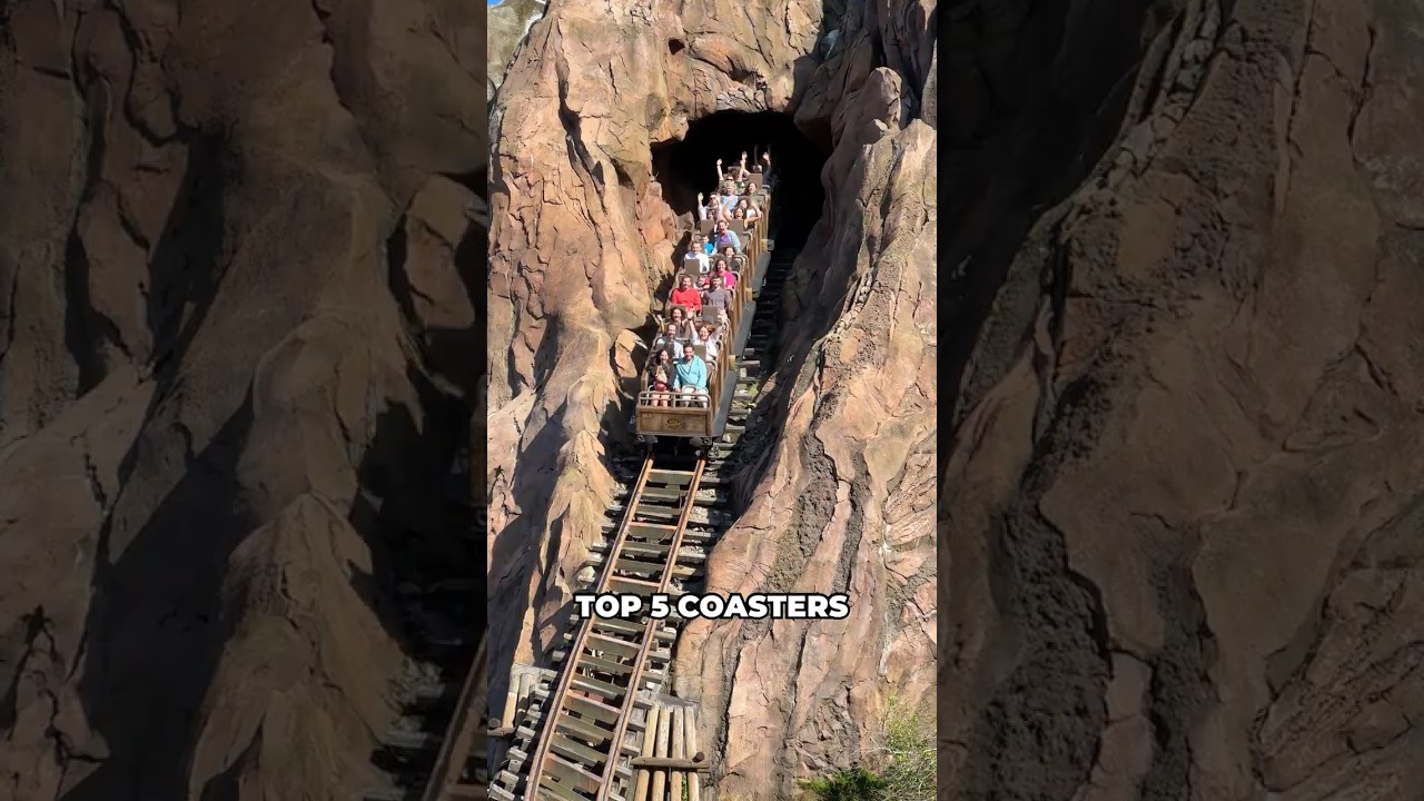 Top 5 Roller Coasters at Walt Disney World 🏰🎢