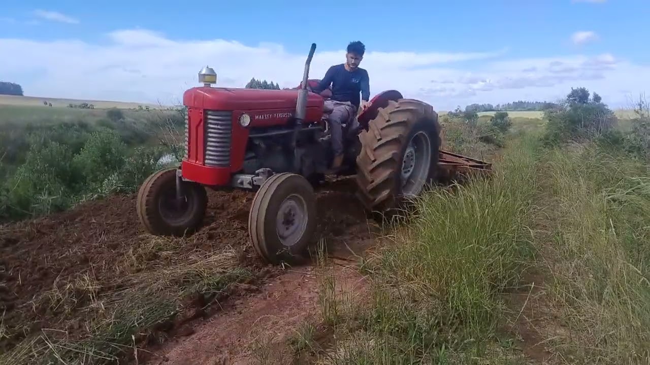 Na limpeza da taipa do açude para plantar em cima , vamos plantar feijão aqui também🇧🇷🚜🫛💰💯👍