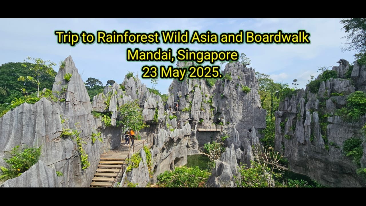 Mandai's Rainforest Wild Asia and Boardwalk trip