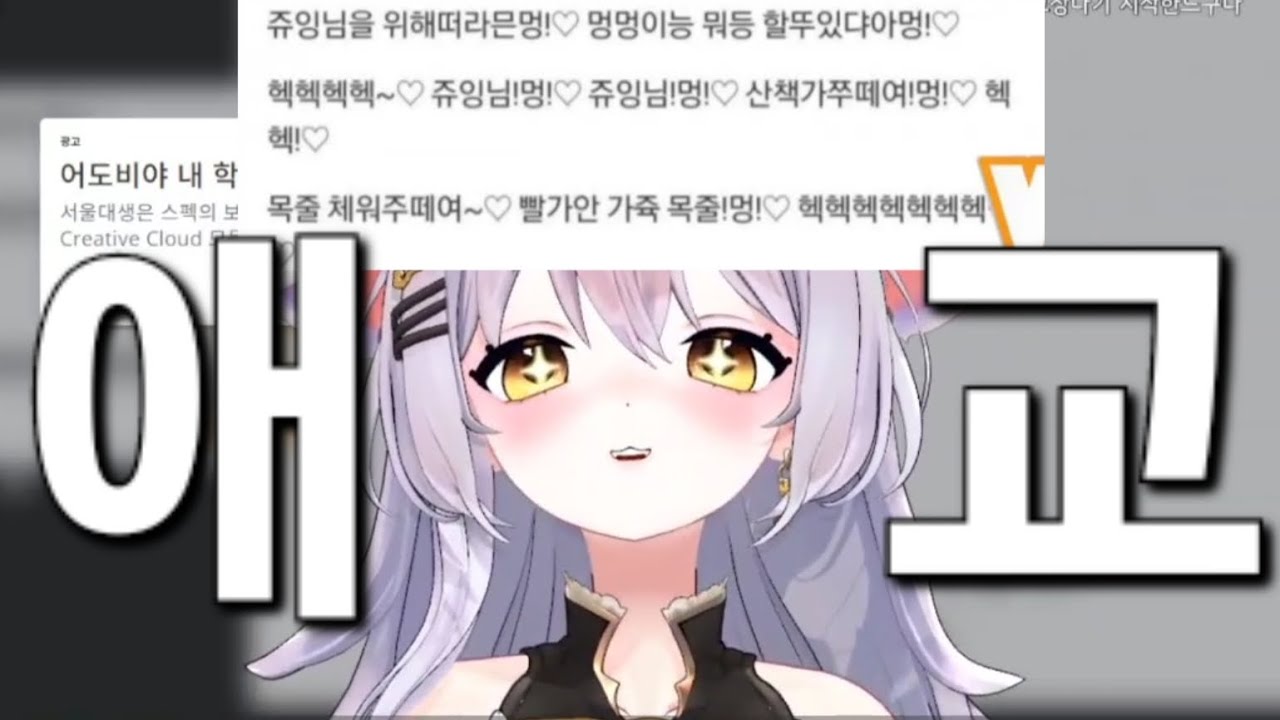 진짜 개쩌는 하시요의 애교(돌려까기 절대 아님)