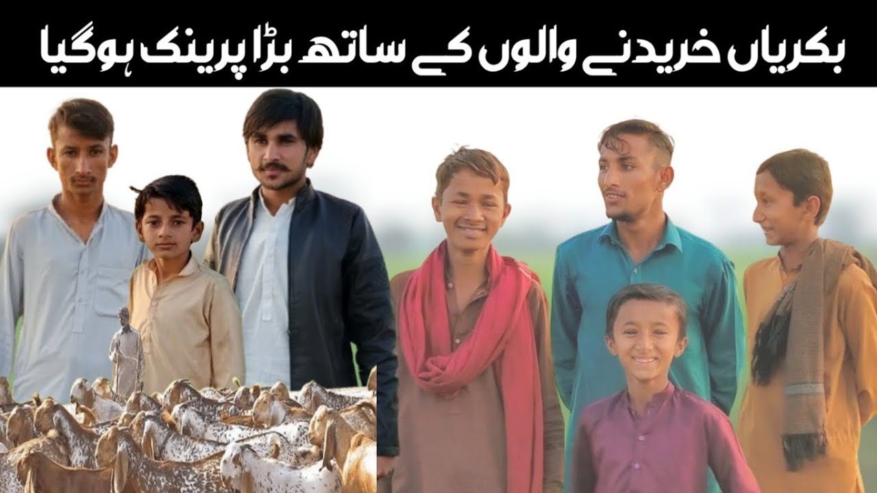 بکریاں خریدنے والوں کے ساتھ بڑا پرینک ہوگیا sh afqat and Abdul jabar team funny video comedy Uahd12