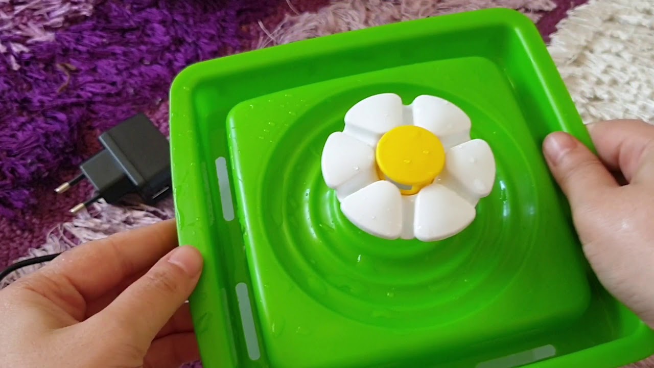 Kediler için Su şelalesi