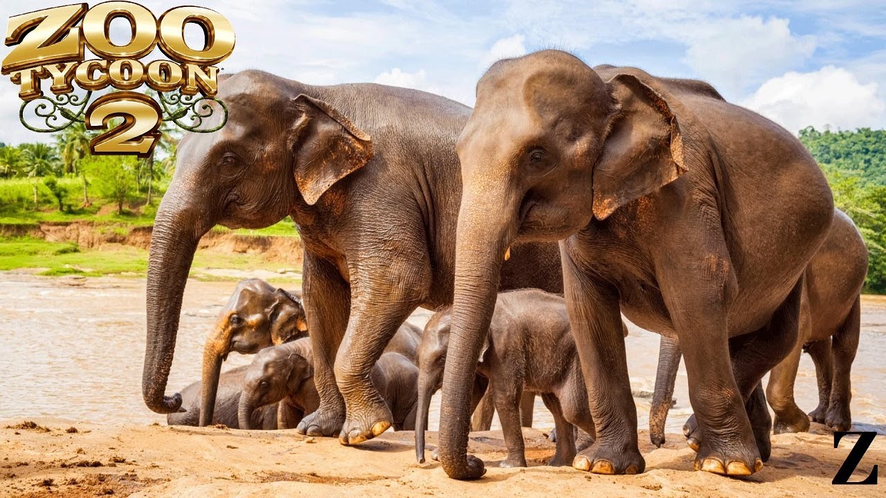 Zoo Tycoon 2 Exhibit Speed Build || Asian Elephant