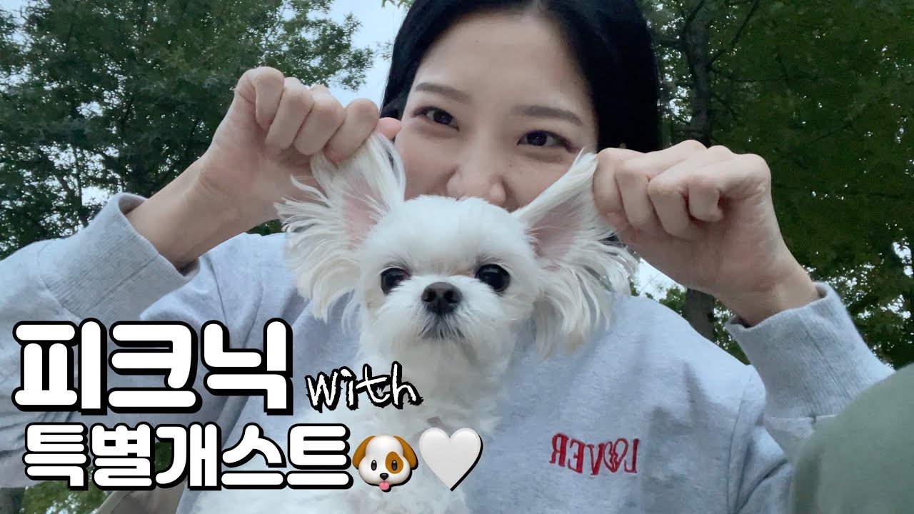 특별 개스트와 함께한 캠크닉🐶⛺️ | 송정 해수욕장 | 부산 시민공원