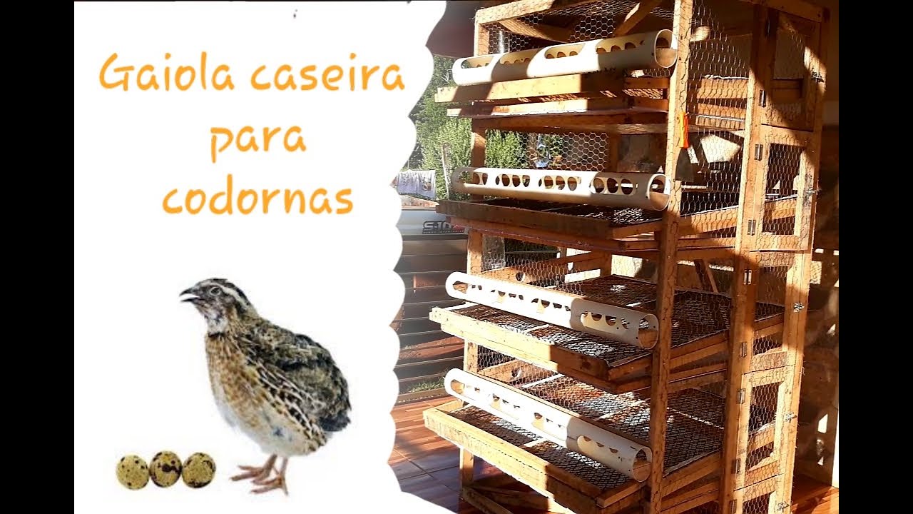 Gaiola caseira para codornas