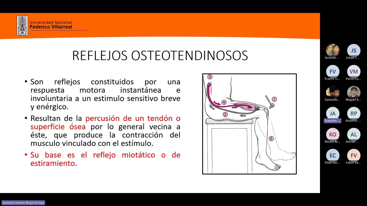 Neuro Clase 6 y 7: Reflejos osteotendinosos y Vía piramidal - Semiología