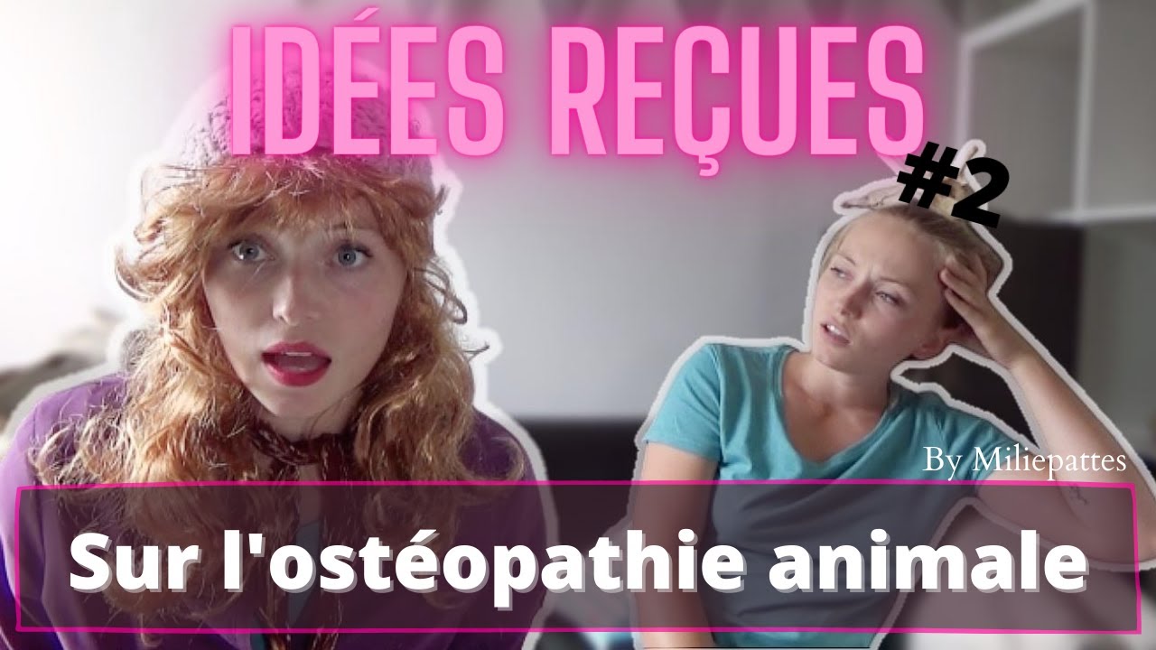 IDEES RECUES sur l'OSTEOPATHIE ANIMALE #2 feat Marie Pimbêche !