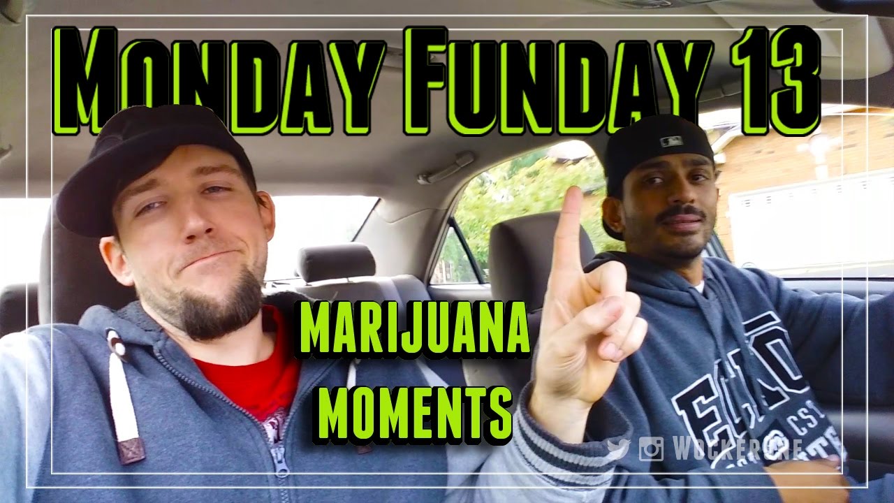 MARIJUANA MOMENTS