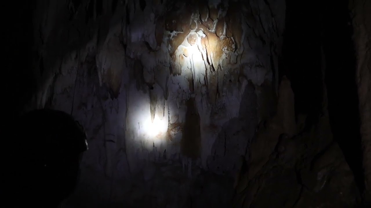Dwarf bats in Sakalava cave (Anjajavy, Madagascar)