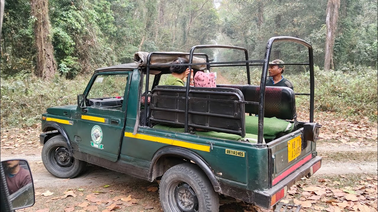 Lataguri jungle safari | Lataguri Tour