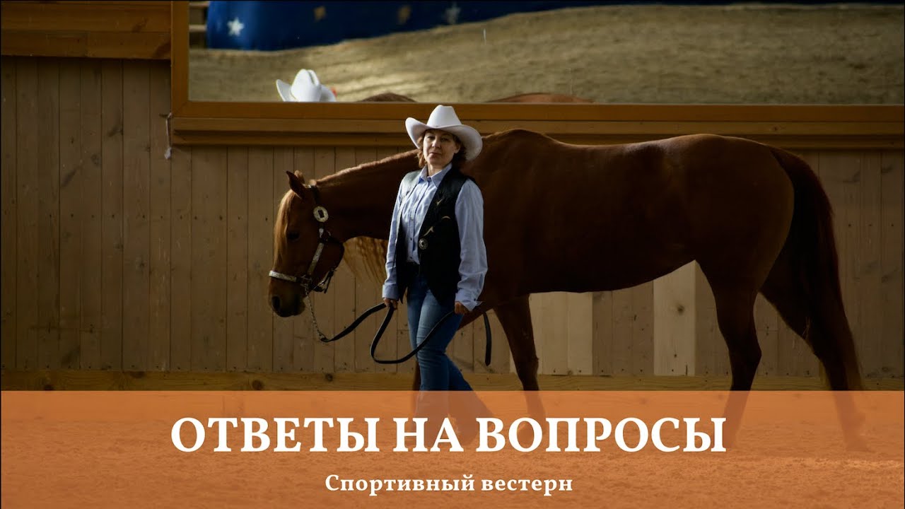 Спортивный вестерн. Ответы на вопросы. при участии 