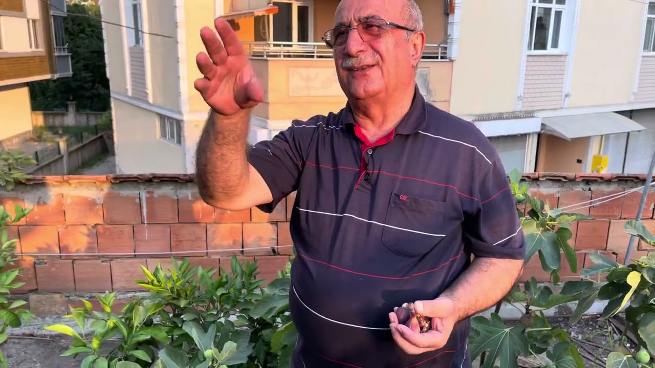 KARADENİZ PATLİCAN İNCİRİ ÇOĞALTMASI TOPRAK VE SU İSTEKLERİ.