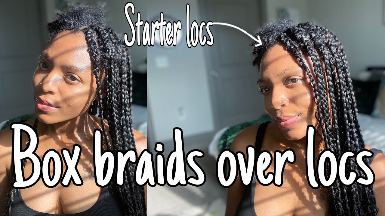 Box Braids over Starter Locs