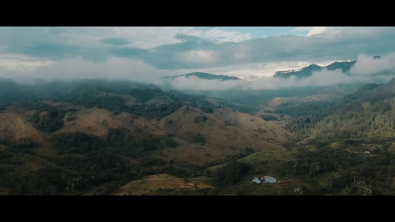 Yang ingin sewa jasa Drone