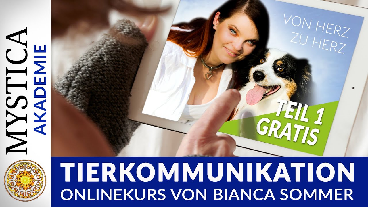Tierkommunikation von Herz zu Herz  - Teil 1 des Onlinekurses gratis | MYSTICA-Akademie