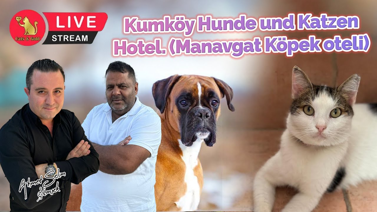 Kumköy Hunde und Katzen Hotel. (Manavgat köpek oteli)