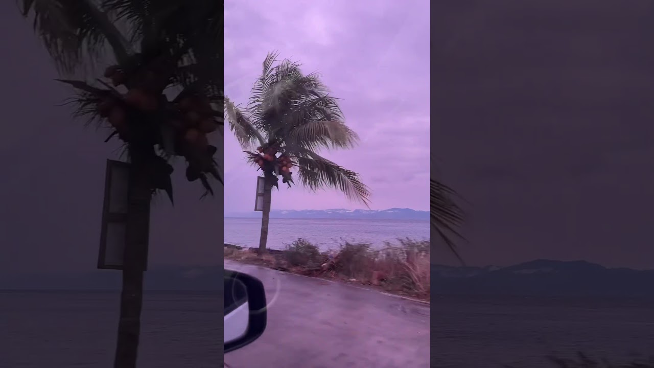 A day in my life #shortvideo